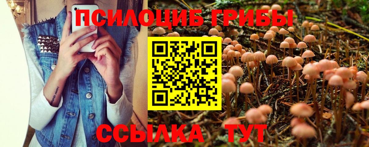 Галлюциногенные грибы Psilocybine cubensis  Вход с VPN  Искитим  Галлюциногенные грибы GOLDEN TEACHER 
