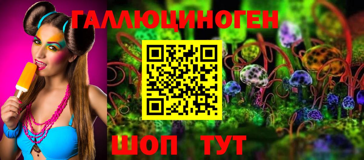 Псилоцибиновые грибы Psilocybe Искитим